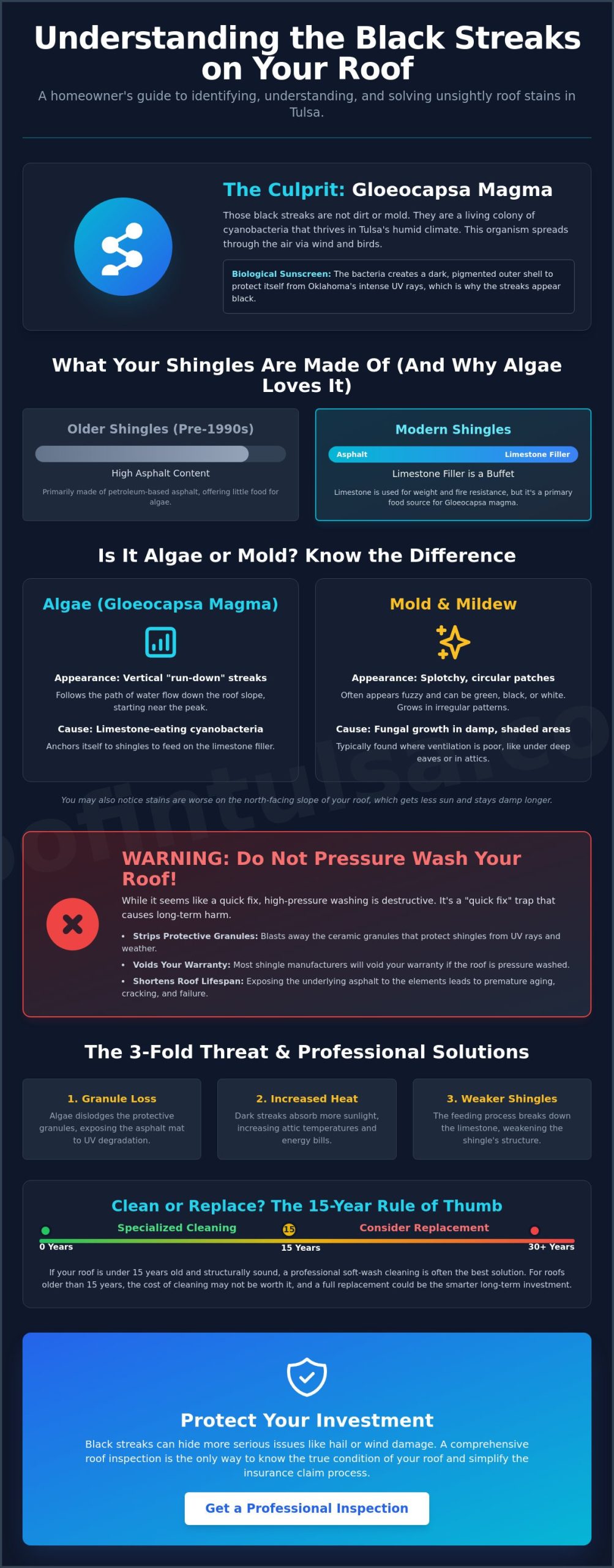 What Causes Black Streaks on Roofs in Tulsa? The Truth About Gloeocapsa Magma